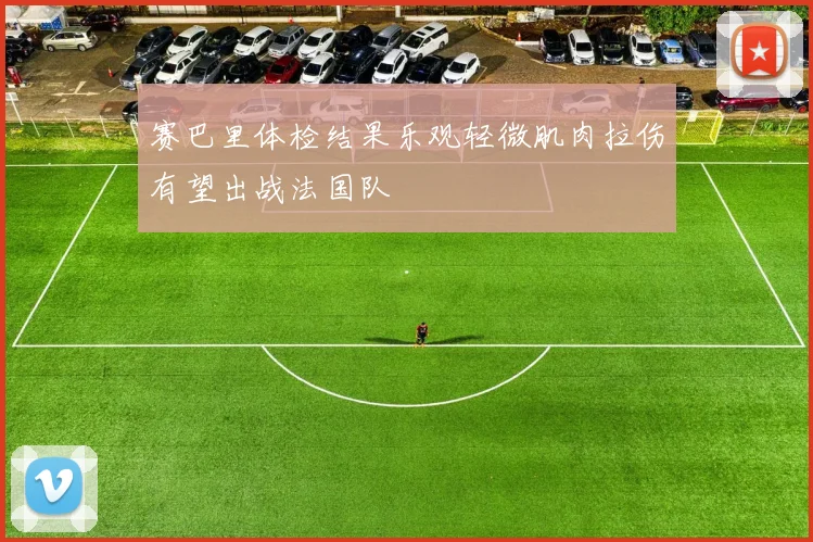 赛巴里体检结果乐观轻微肌肉拉伤有望出战法国队