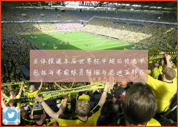 东体报道本届世界杯中超旧将名单包括海港前球员阿瑙与恩迪亚耶在内的10位球员