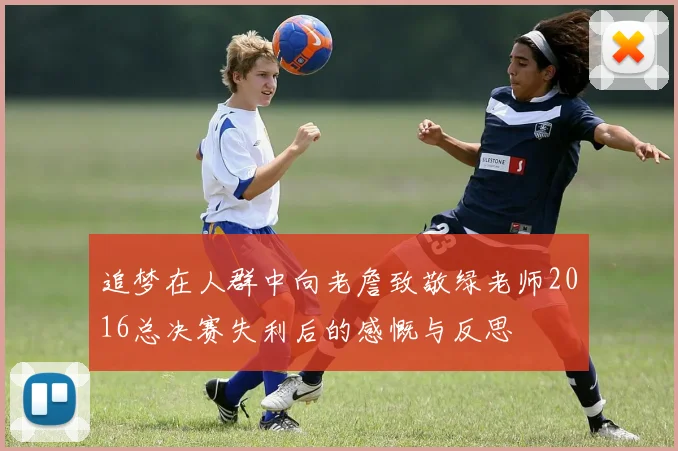 追梦在人群中向老詹致敬绿老师2016总决赛失利后的感慨与反思